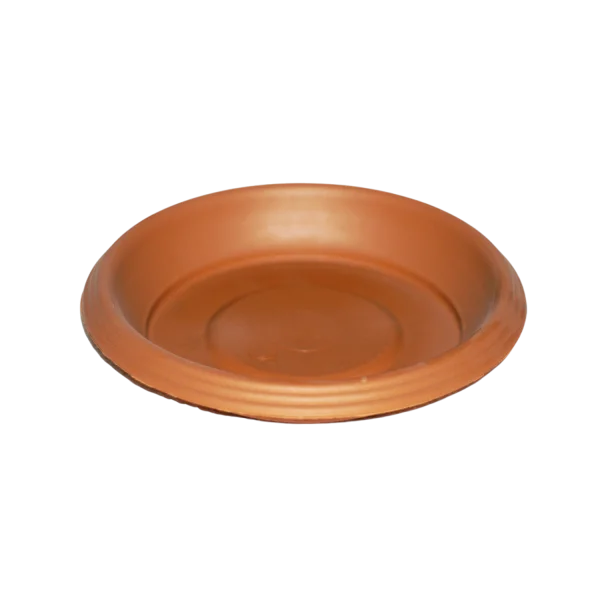Platillo Auténtico