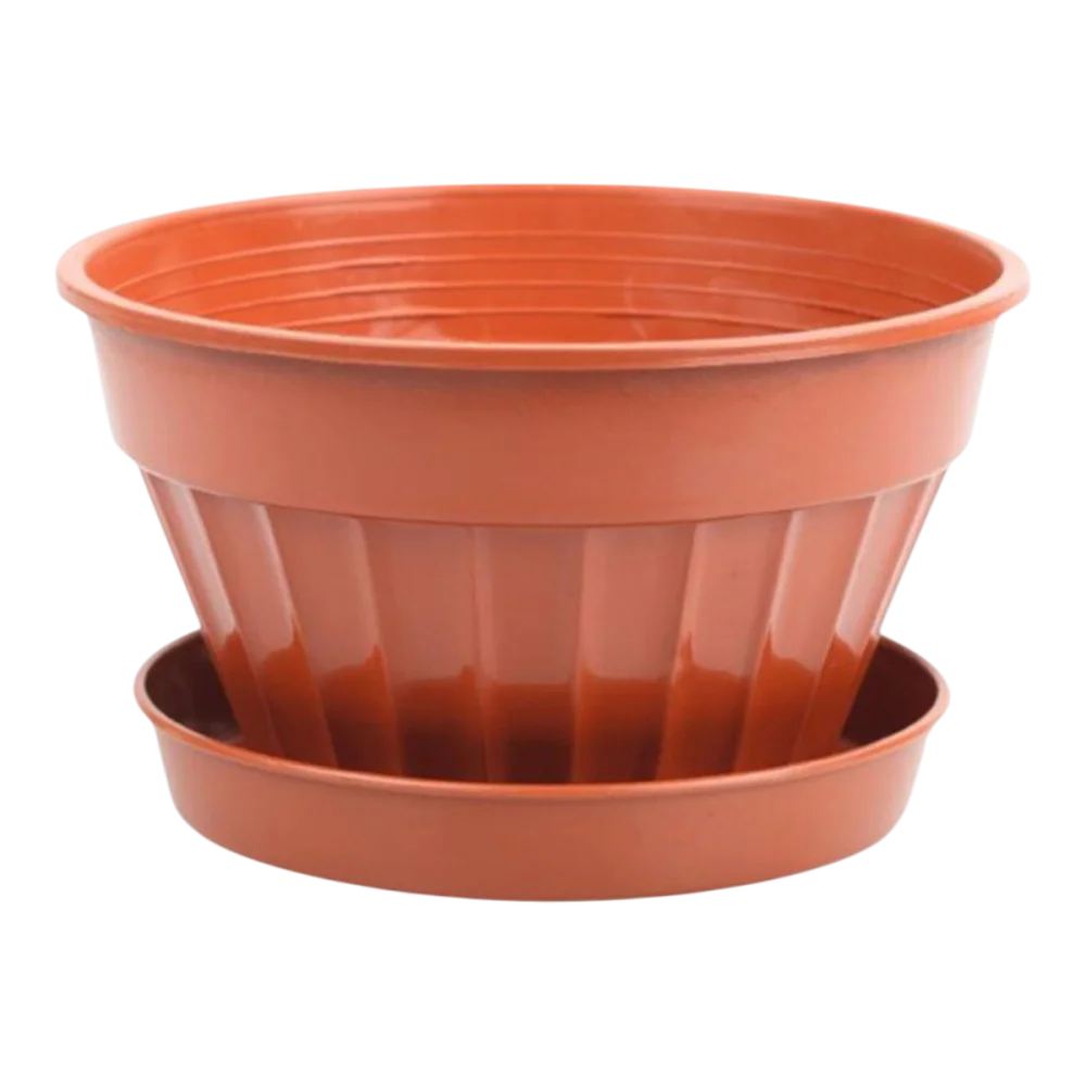 Veilchen Pflanztopf Terrakotta