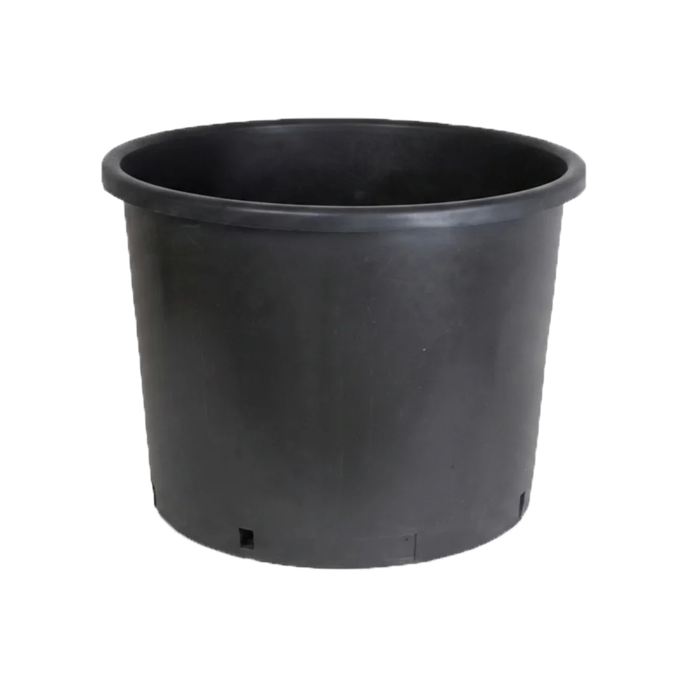 Shrub and Spreading-Root Plant Pot Black