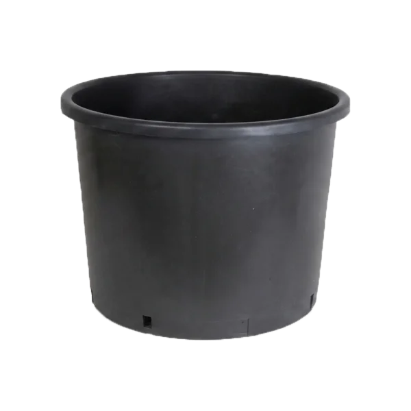 Maceta para arbustos y plantas de raíz extendida