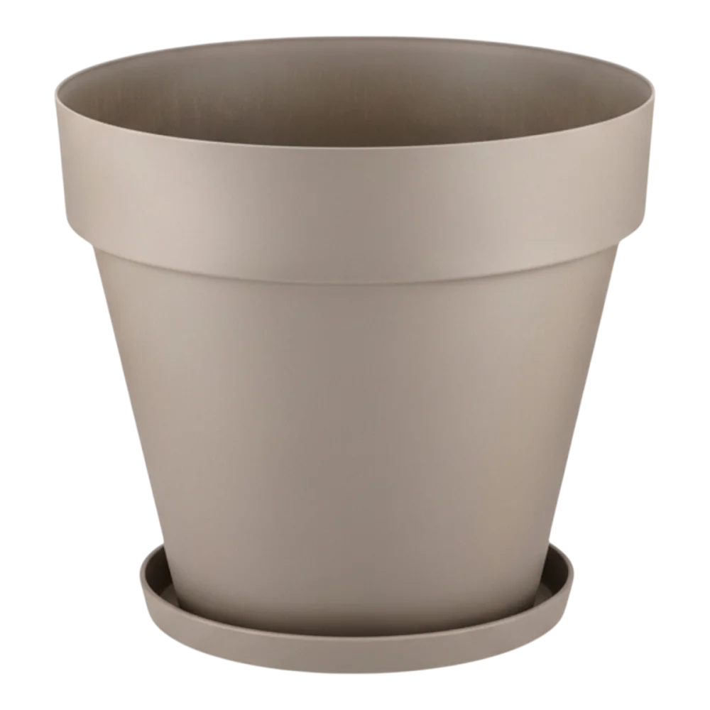 Yalı Saksı Mocha
