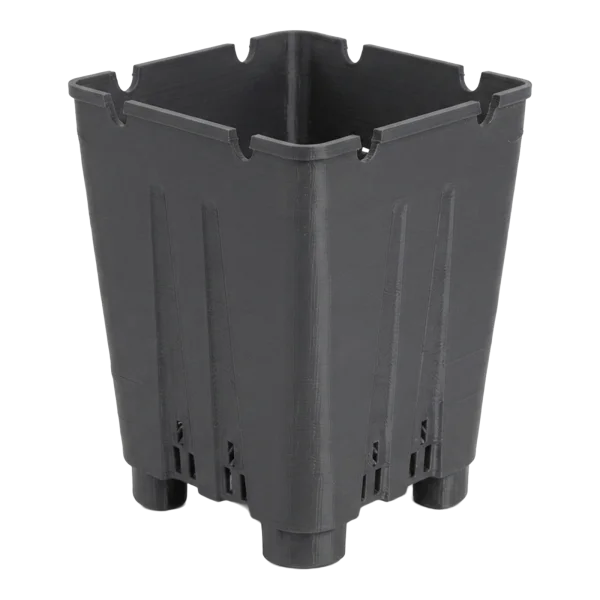 Maceta para plantones de arándano