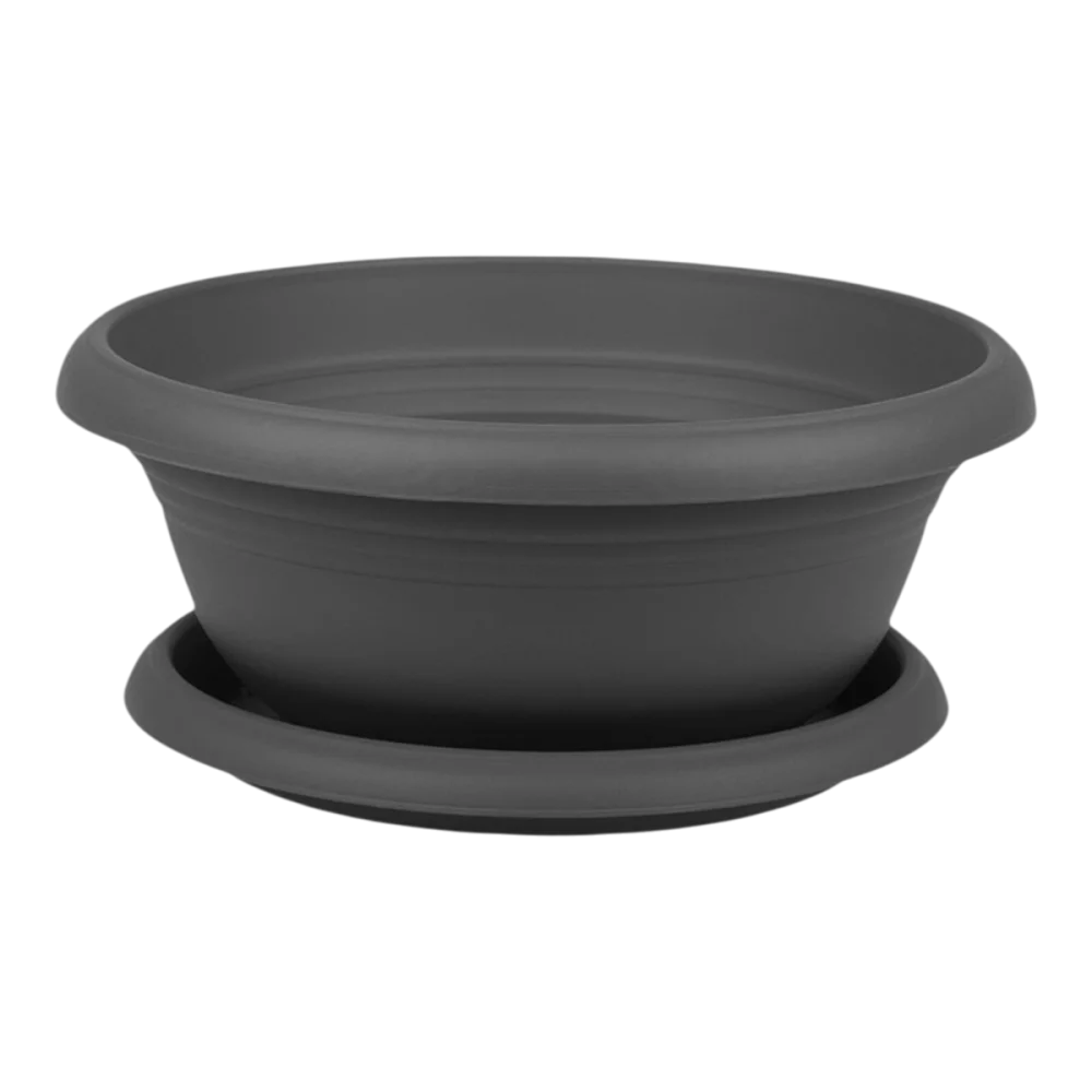 Arrangement Pot Anthracite