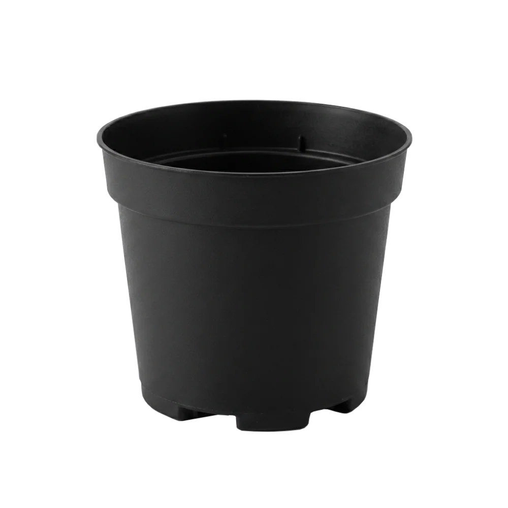 Cactus and Succulent Production Pot Black