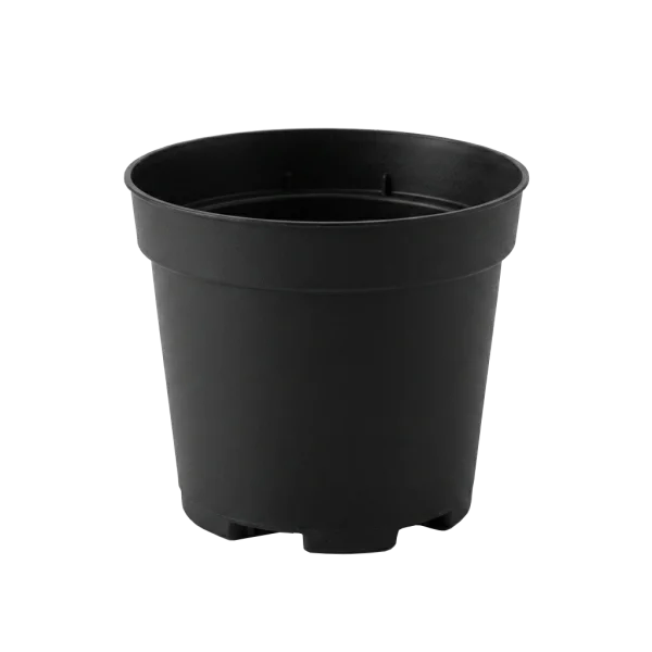 Maceta de cultivo para cactus y suculentas
