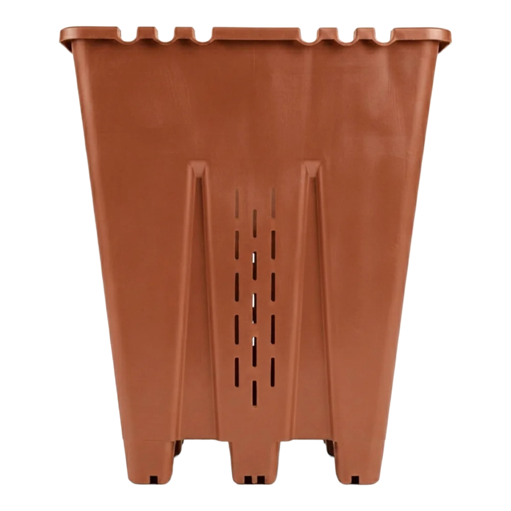 Maceta cuadrada para arándanos Terracota