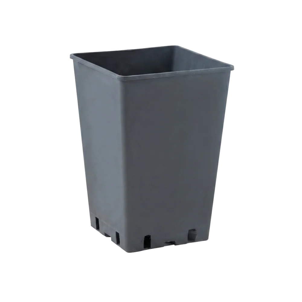 Taprooted Plant Pots Black