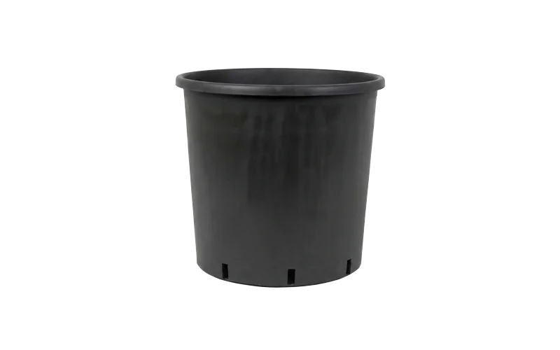 أصص إنتاج الفاكهة أسود
