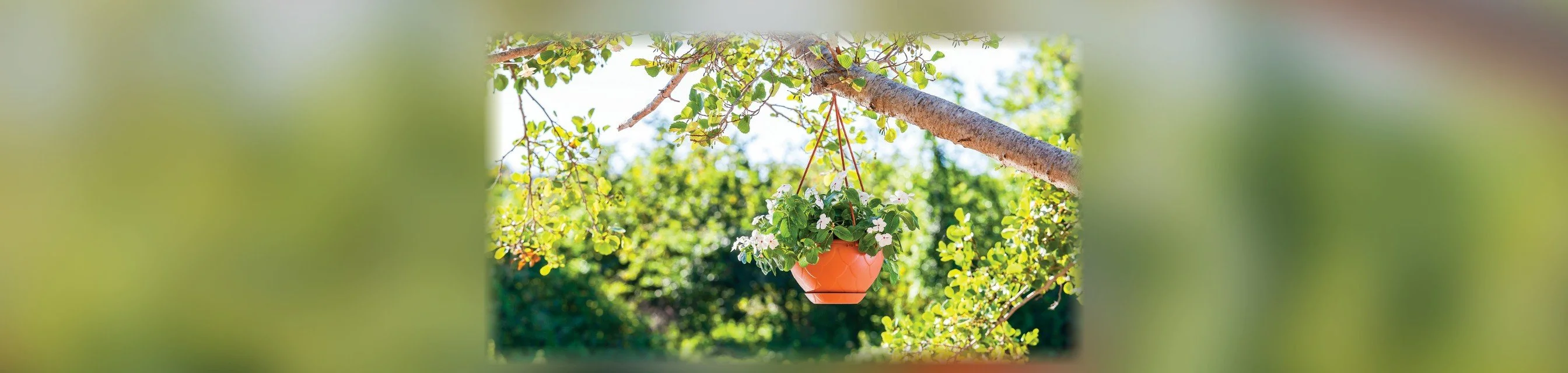 Hanging Drop Macrame Planter