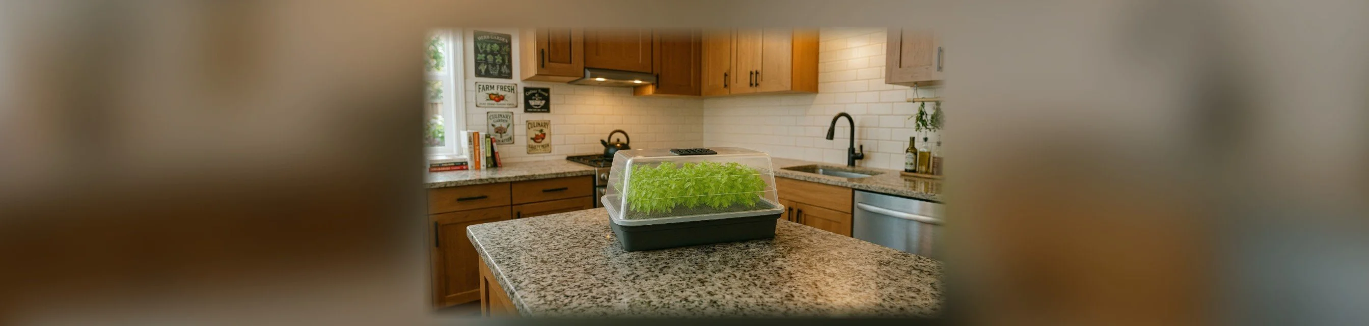 Seedling Growing Kit