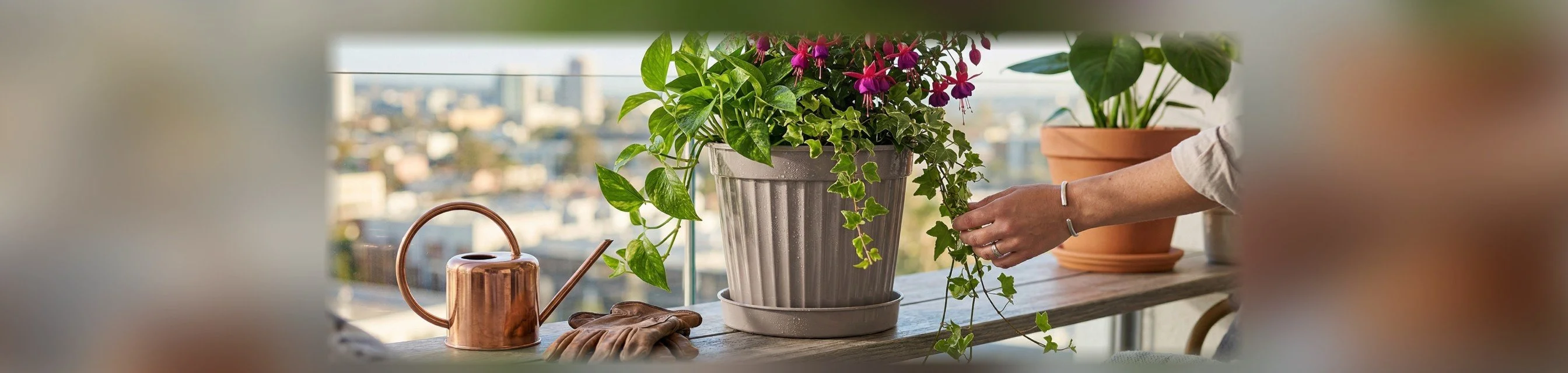 Classic Living Room Pot