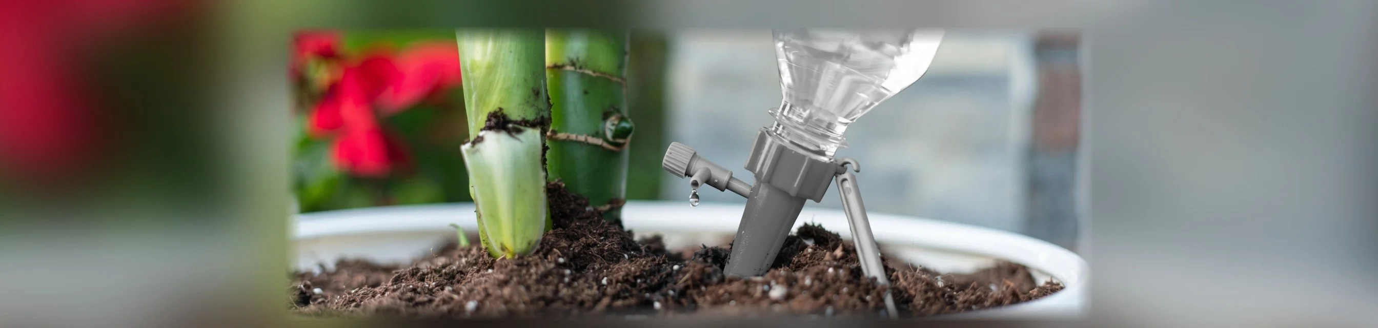 Automatischer Bewässerungsaufsatz für Flaschen