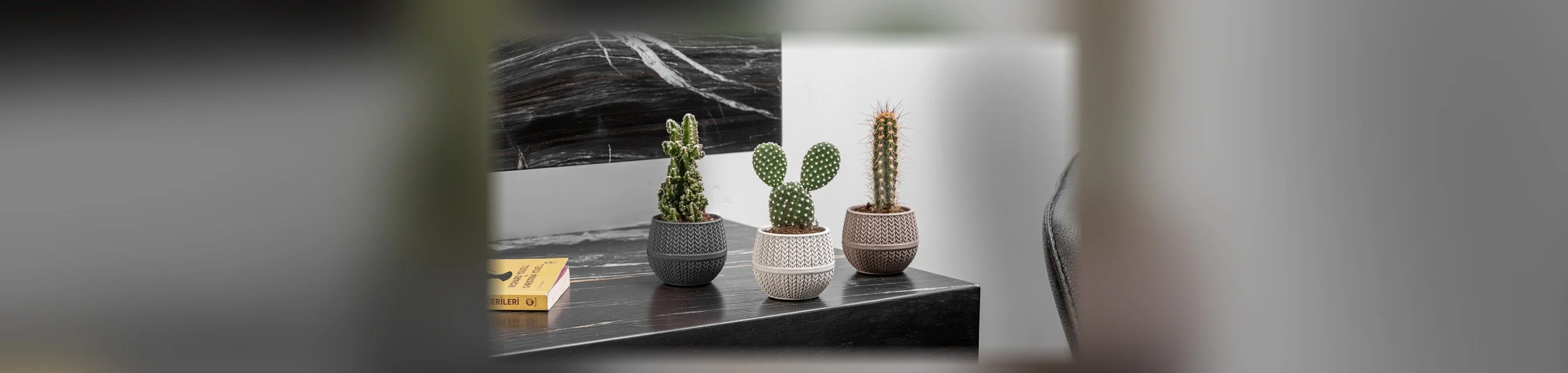 Maceta para cactus Amasra