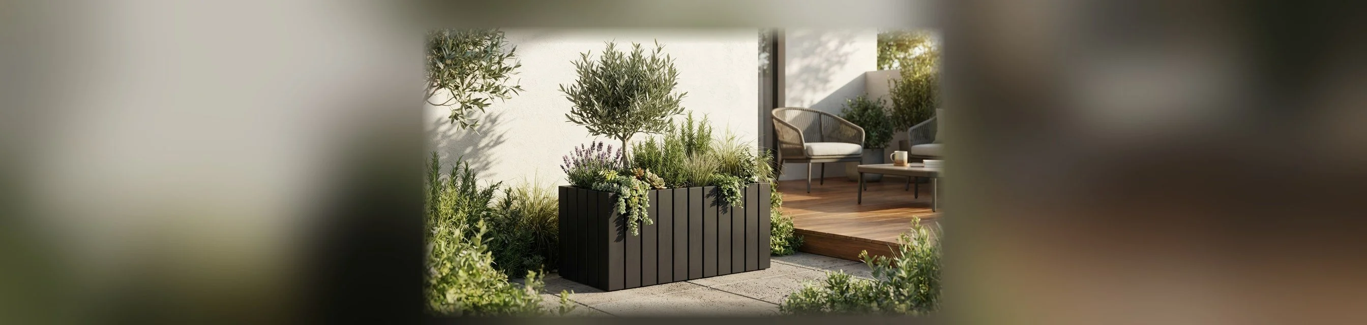 Ayder Rotasyon Saksı