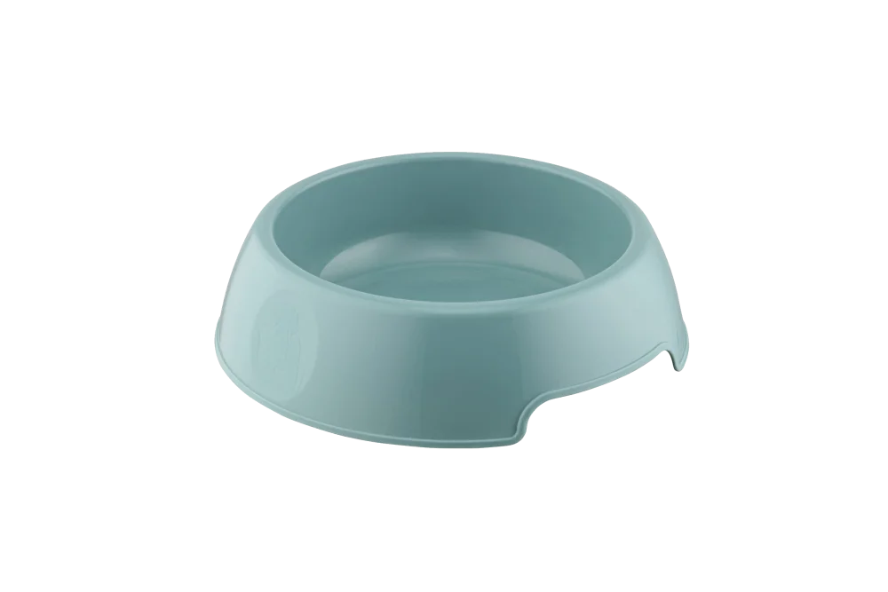 GAMELLE YUMMY Vert d'eau