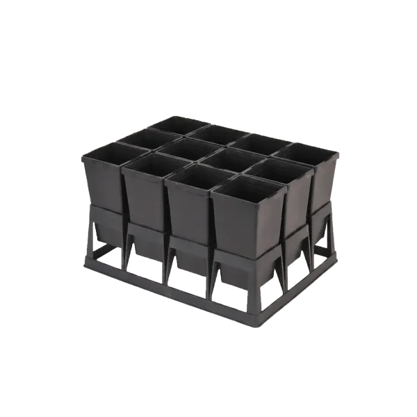 Kit de producción de plántulas por esqueje