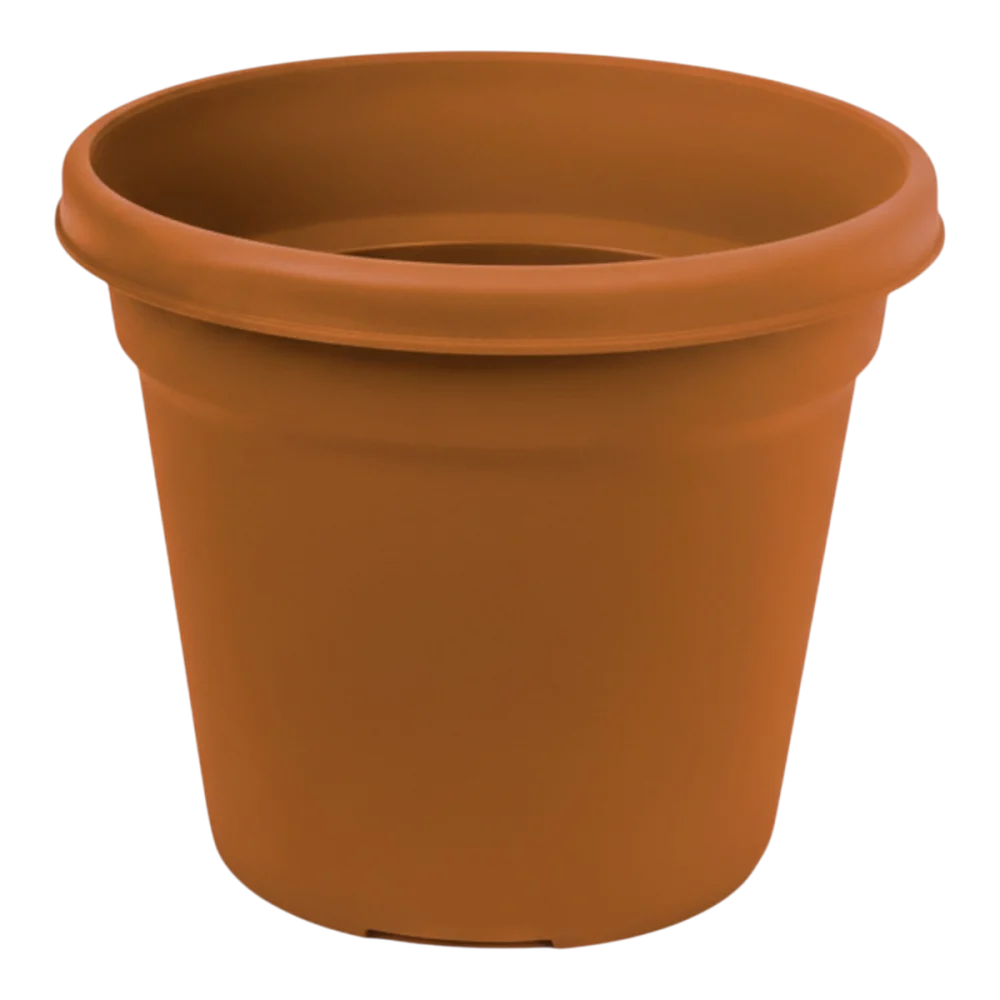 Maceta Oasis Terracota