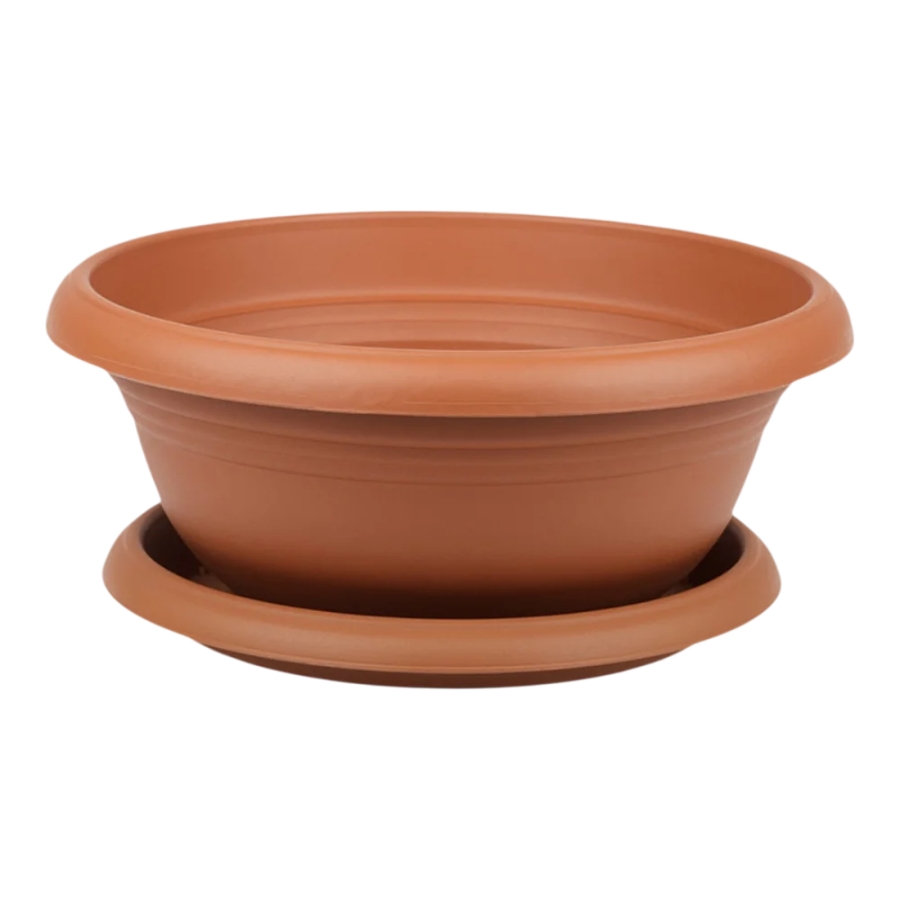 Arrangement Pot Terracotta